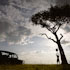 08-Kenia-Masai-Mara-6.jpg